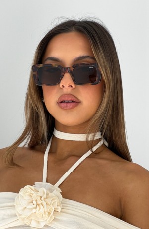 Brown White Fox Roberta Women's Sunglasses | VNYW-52609