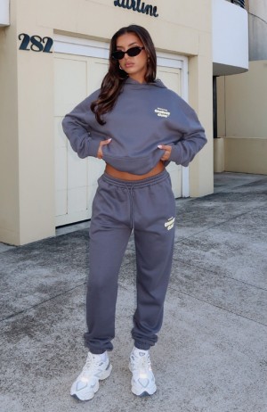 Grey White Fox Comfort Club Women's Sweatpants | SYJC-87152