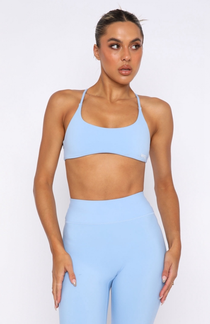 Blue White Fox She's Healthy Women's Sports Bra | CHWM-63702