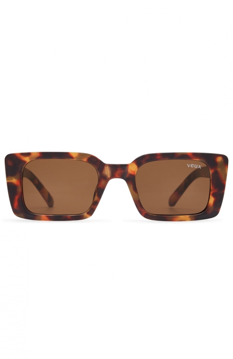 Brown White Fox Roberta Women's Sunglasses | VNYW-52609