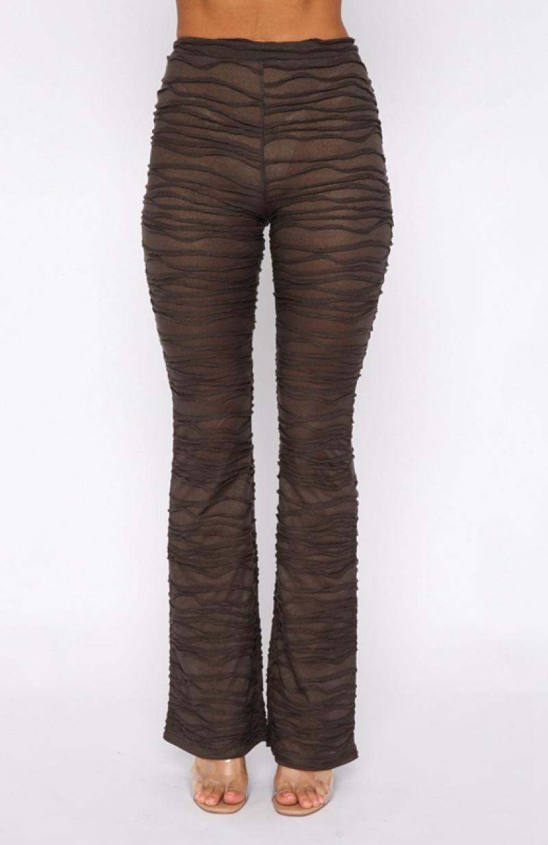 Chocolate White Fox It's Settled Women's Pants | IATM-10896