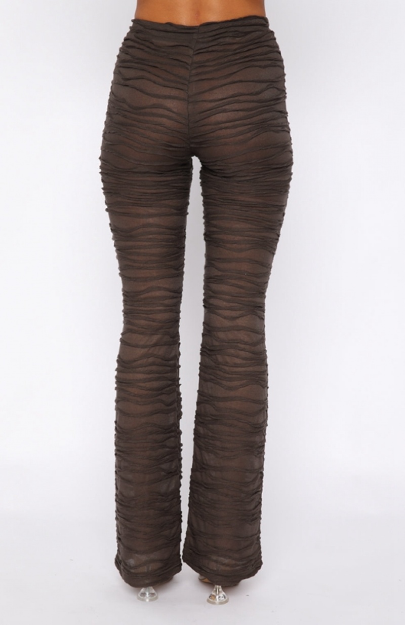 Chocolate White Fox It's Settled Women's Pants | IATM-10896